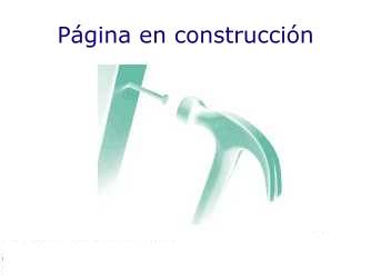 Pagina en construccion